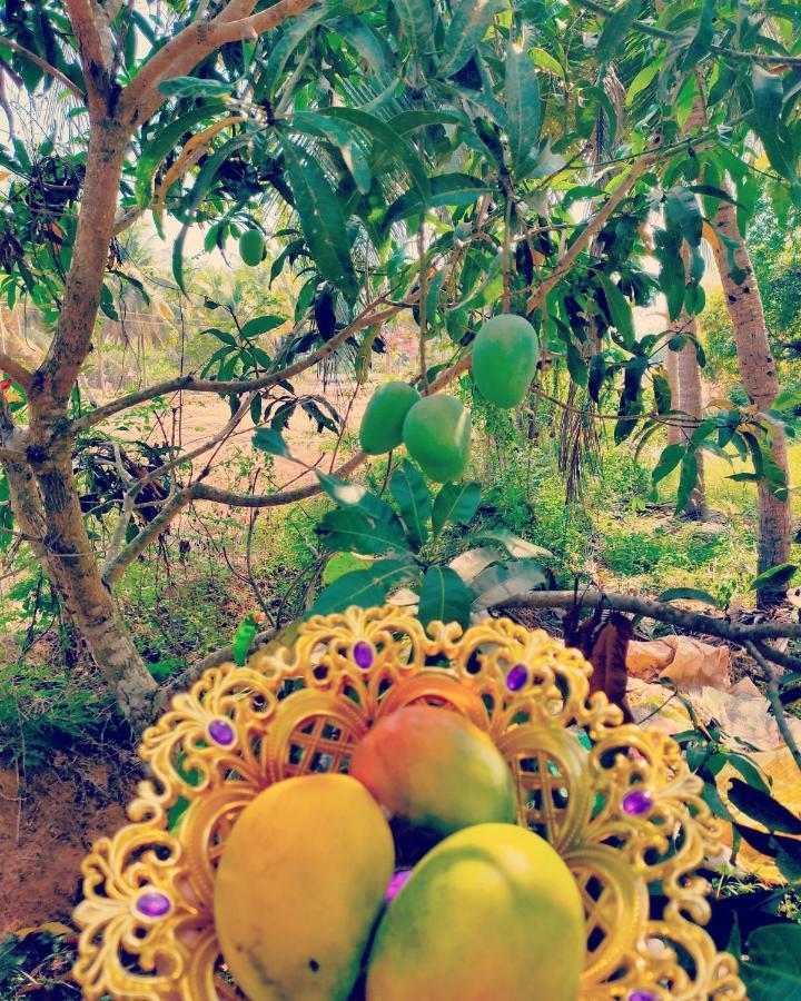 The Big Pineapple Estate Villa ウドゥピ エクステリア 写真