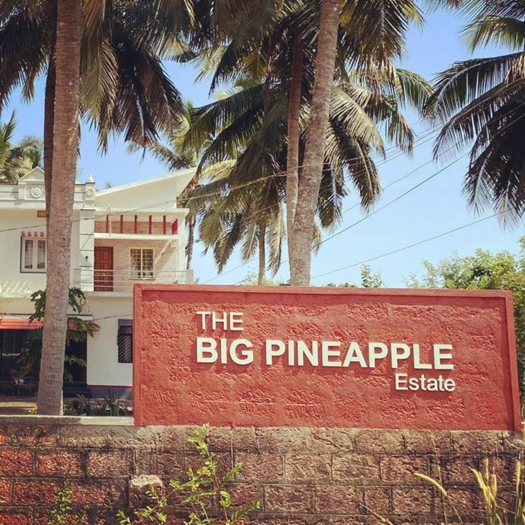 The Big Pineapple Estate Villa ウドゥピ エクステリア 写真